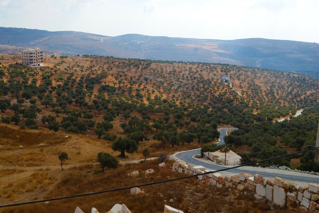 Taybeh Golden Hotel Rámaláh Exteriér fotografie